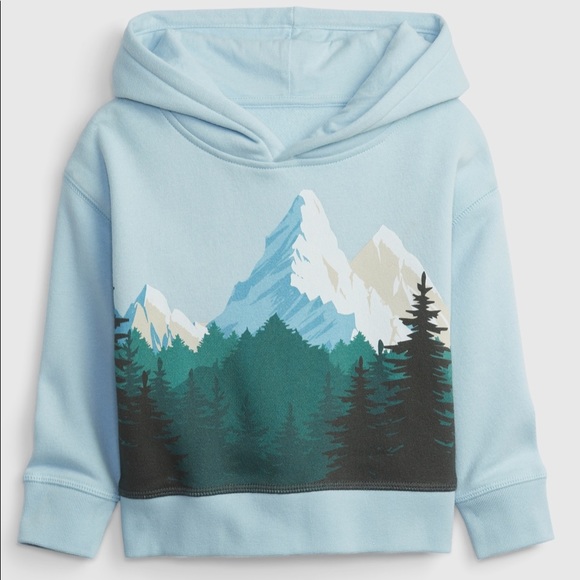GAP Other - Baby Gap Mountain Fleece Hoodie NWT